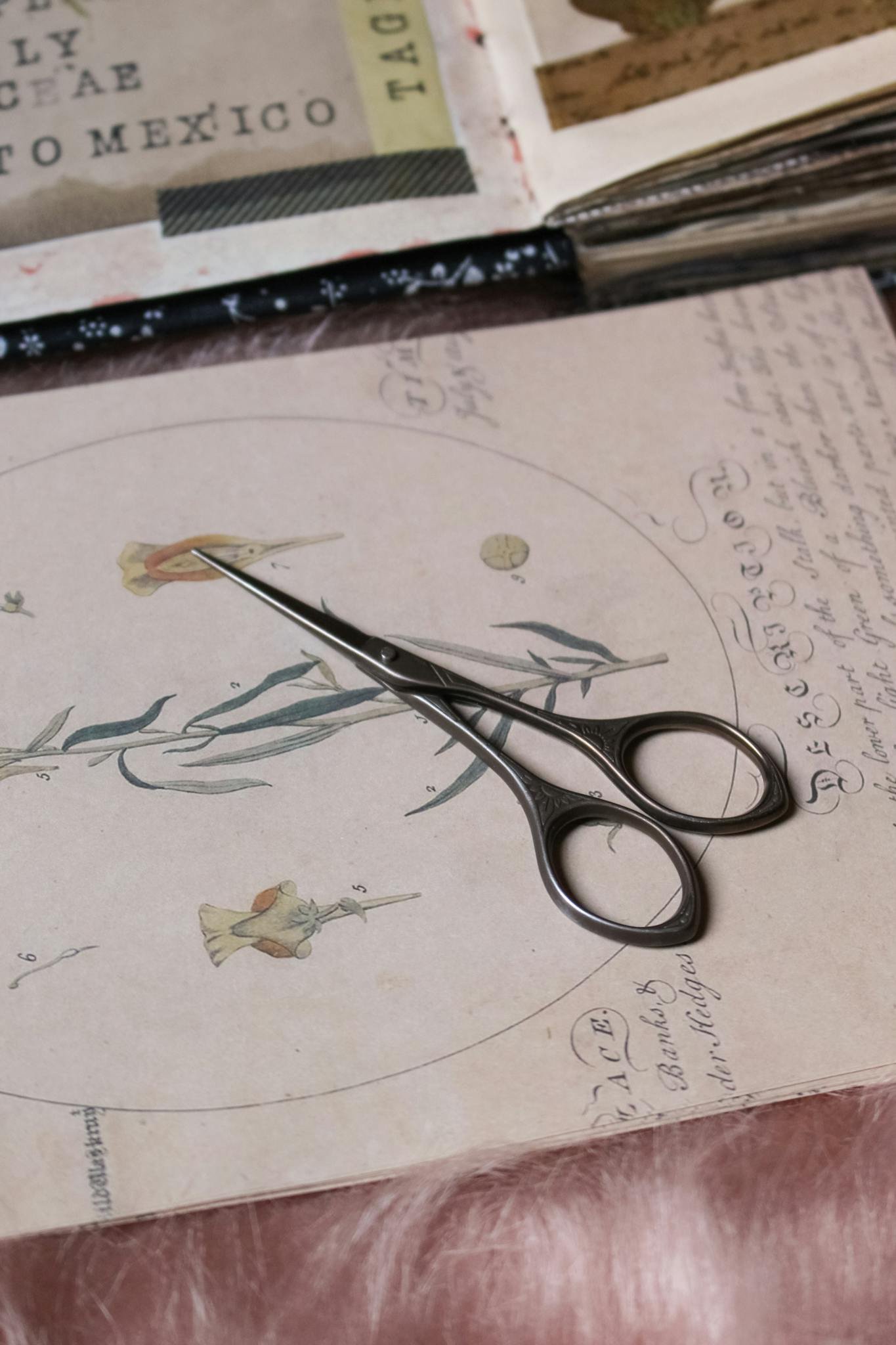 Vintage scissors on botanical scrapbook paper for artistic journaling.